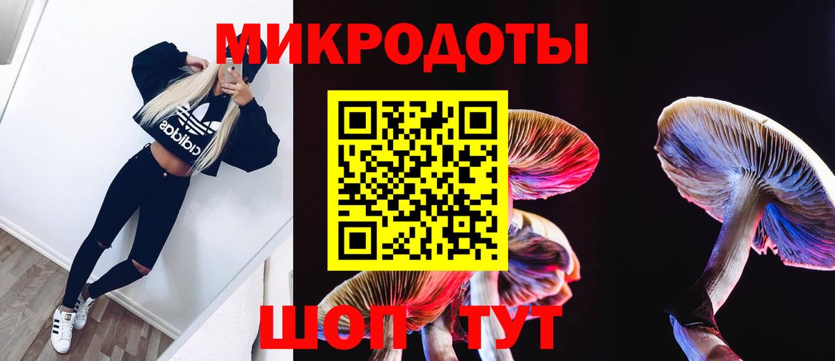 Псилоцибиновые грибы мухоморы Сургут